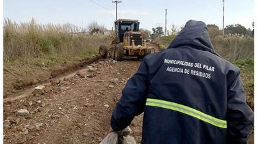 Recolectan 350 camiones de residuos reciclables