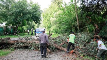 REPARACIÓN. Se creará una contribución especial por Catástrofe Climática. &nbsp;