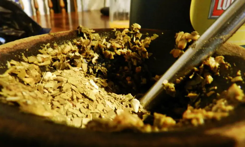 Transforman residuos de yerba mate en un bioaceite. (infoagro.com.ar).