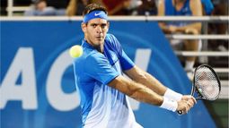 Juan Martín Del Potro hará una exhibición ante David Ferrer..