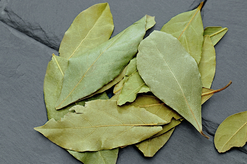 El Feng Shui asegura que el laurel protege los hogares. (Pexels)..png