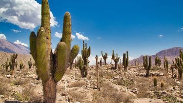 exito rotundo del previaje con tasa de ocupacion turistica que llego a los 100% en lugares claves del pais