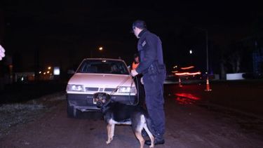 PERRO. Uno de los controles, anoche, en Ruta 8..