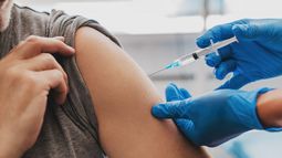 Los ministros de Salud de la Ciudad de Buenos Aires y la Provincia advirtieron sobre el posible aumento de casos de dengue en el AMBA.