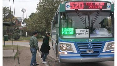 RENOVADOS. Las líneas de colectivos locales seguirán con sus recorridos..