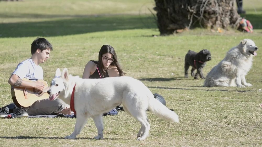 La primavera pisa fuerte en Pilar con una jornada ideal para disfrutarla al aire libre. El Servicio Meteorológico Nacional anticipa chaparrones para el domingo.