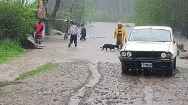 Vecinos autoevacuándose en el barrio Río Luján..