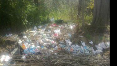 Foto de lectores