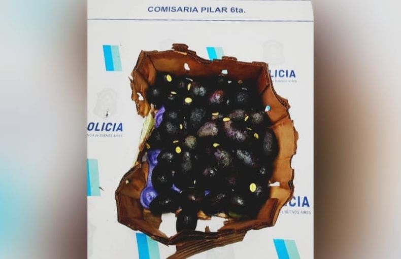 PALTAS. El ladrón cuenta con antecedentes por este tipo de robos.&nbsp;