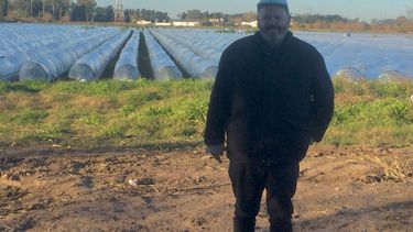 EN EL CAMPO. El ingeniero agrónomo Fernando Badiali en un campo de frutillas de Pilar. &nbsp;