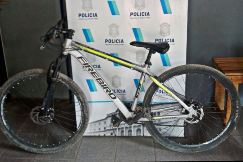 Robada y recuperada: Bicicleta rodado 29 marca FIREBIRD