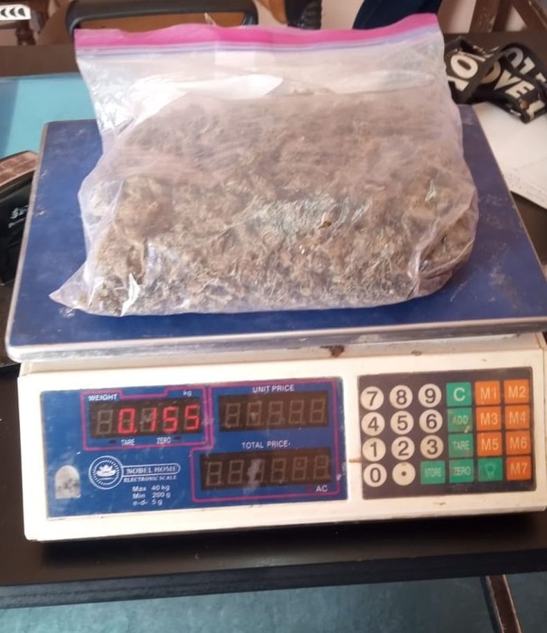 La marihuana secuestrada en el operativo.