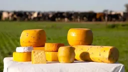 El pueblo bonaerense que celebra la mejor fiesta del queso en Argentina El pueblo bonaerense que celebra la mejor fiesta del queso en Argentina