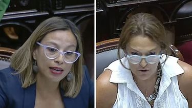 FRENTE A FRENTE. Cáceres y Campagnoli, a ambos lados de la grieta por el aborto..
