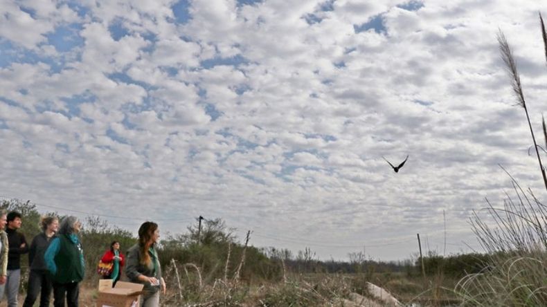 A VOLAR. Momento en que liberan una de las aves..