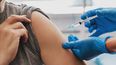 Los ministros de Salud de la Ciudad de Buenos Aires y la Provincia advirtieron sobre el posible aumento de casos de dengue en el AMBA.