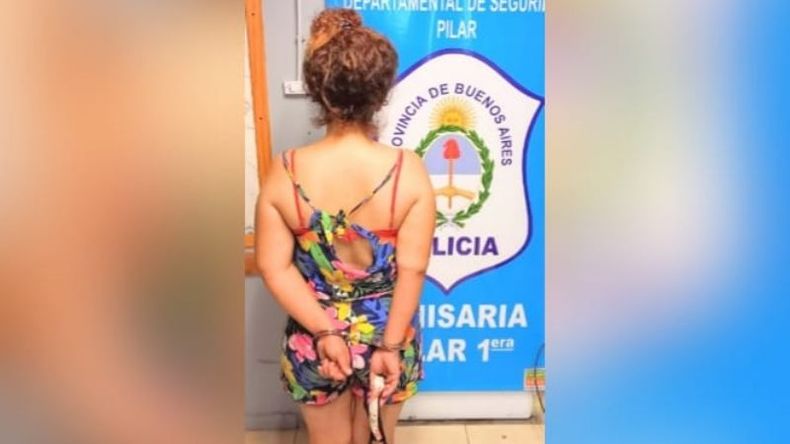 La acusada tiene 28 años y es oriunda de Derqui. .