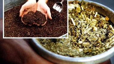 como hacer abono organico con yerba mate