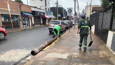 el municipio comenzo un plan de embellecimiento urbano