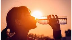 34,9º fue la temperatura máxima registrada ayer en Pilar, de acuerdo a los datos suministrados por el sitio Clima en Pilar y Aledaños. .