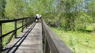 Los voluntarios deberán acercarse el sábado por la mañana a la Reserva Natural de Pilar. .