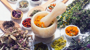 oms: primera cumbre mundial sobre medicina tradicional