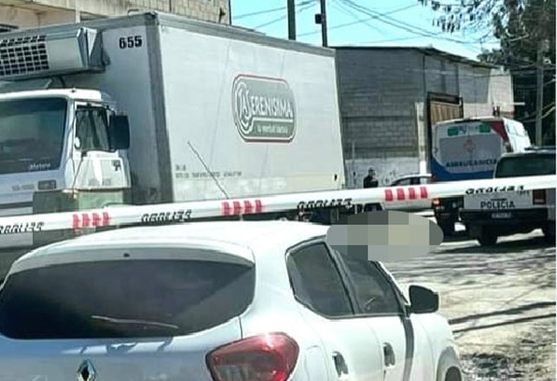 El camión involucrado en el accidente, ocurrido frente a la Escuela 24 de Luis Lagomarsino.&nbsp;