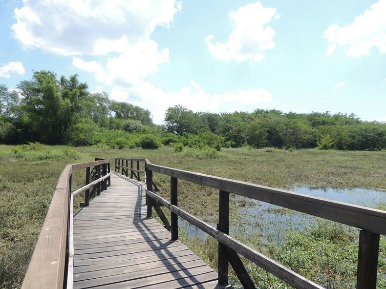 La reserva funciona como una isla de biodiversidad. (tripadvisor.com.ar)..jpg