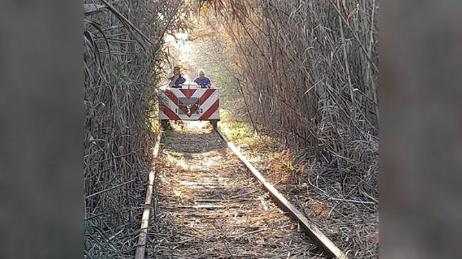 Hoy sábado se hizo un despeje desde estación Fátima hasta la entrada de barrio Carabassa pasando río Luján, junta a Diego, Leandro, Marcos, Iván, Nacho y quien les escribe. Gracias muchacho como siempre, ramal Urquiza. Hefemaq Ferrovíaria..