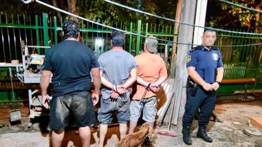 DETENIDOS. Son dos hombres que integran la banda dedicada a las entraderas.