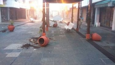 DESTROZOS. Macetas rotas, ayer, como muestra del vandalismo..