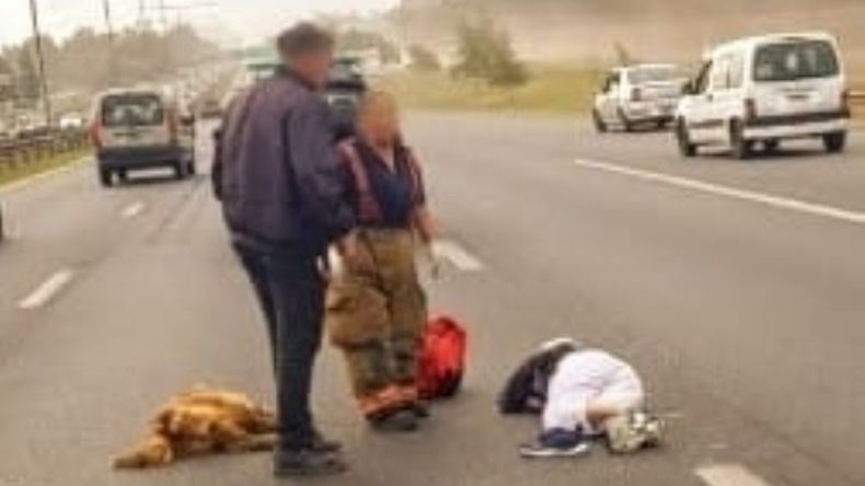 La mujer resultó herida y el perro perdió la vida, como consecuencia del accidente. Foto @juancaimpacto.