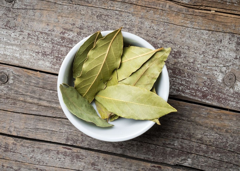 Colocar hojas de laurel en la guantera. (recipes.net)..png