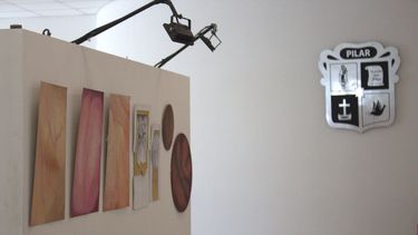 IMÁGENES MAESTRAS: La exposición de arte podrá visitarse durante&nbsp; febrero de lunes a viernes de 8 a 15 horas.