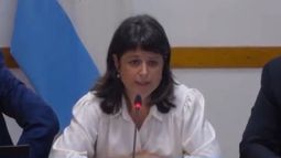 La Comisión de Juicio Político, que preside la diputada Carolina Gaillard analiza 14 proyectos de pedido de juicio político al máximo tribunal de Justicia. .