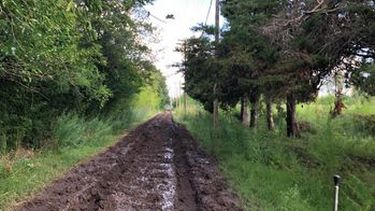 Me gustaría que hagan una publicación respecto a la situación que estamos pasando. Estamos en San Alejo, sobre la calle Levene, y cada vez que llueve es casi imposible transitar. Es una calle sin cortadas donde vivimos con nuestros hijos. Tenemos hijos que llevar al cole y sin un vehículo 4x4 nos es imposible salir. Me gustaría que llegue a oídos de nuestro intendente que sé que está haciendo muchas obras, pero necesito alguna solución a nuestro problema. Estamos en el final de la calle totalmente olvidada. Muchas gracias. Ayelén Luque.