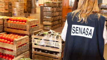El Gobierno reorganizó el control de alimentos, por lo que el SENASA absorberá registros y fiscalización y Salud definirá políticas alimentarias.