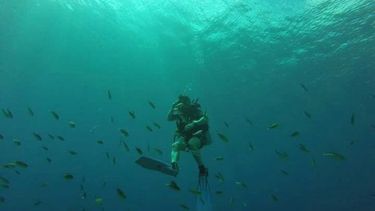 Practicar buceo en Pilar es posible