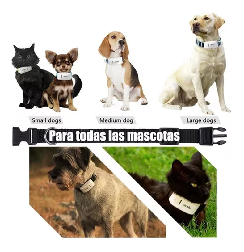 Rastrador TKStar. Foto. Mercado Libre..webp