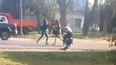 El conflicto se originó el lunes 22 cuando tres trabajadoras agredieron a una compañera en Del Viso. .