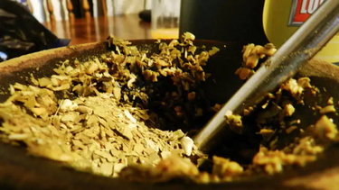 transforman residuos de yerba mate en un bioaceite con valor comercial
