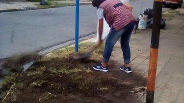 Una maestra, arreglando las veredas de una escuela especial