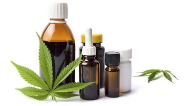 CANNABIS MEDICIAL. Primera investigación para su uso en tratamientos de cáncer..