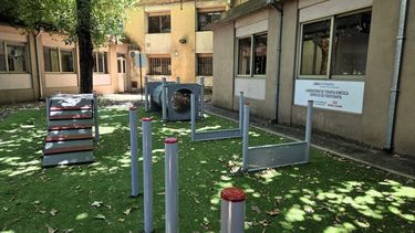 ¡La UBA estrenó un Laboratorio Kinésico para perros y gatos! ¡La UBA estrenó un Laboratorio Kinésico para perros y gatos!