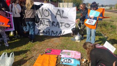 Vecinos de Del Viso marcharon por el asesinato de la perra Dulce.