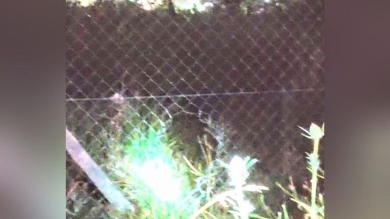 El agujero fue detectado por los vigiladores en una recorrida nocturna. .