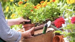 Tareas imprescindibles para cuidar tu jardín en primavera