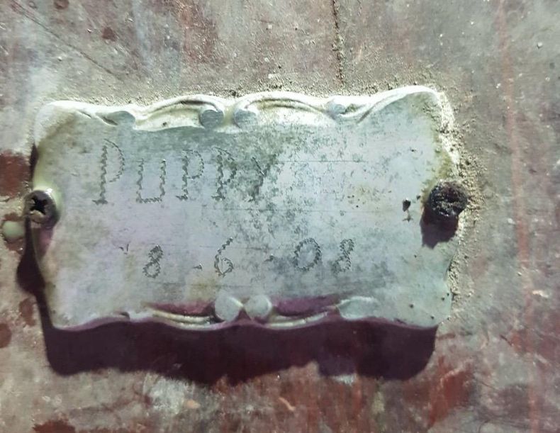 Una de las chapas halladas entre los restos óseos de animales encontrados en Villa Rosa.&nbsp;&nbsp;