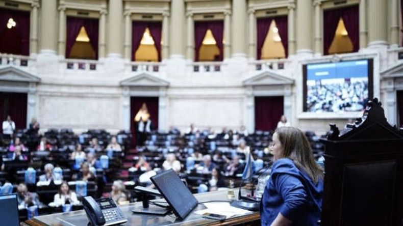 La Cámara baja ingresa en el período extraordinario y busca tratar diferentes proyectos. .