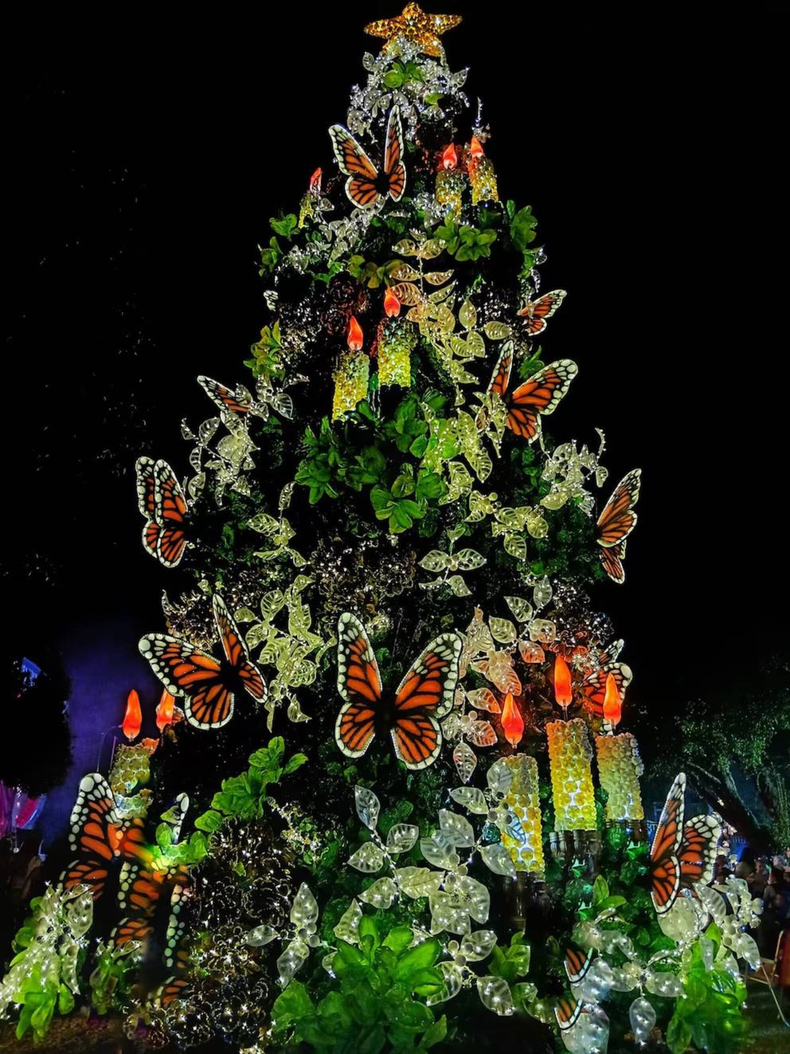 El árbol de Navidad de Capioví. (Infobae)..png